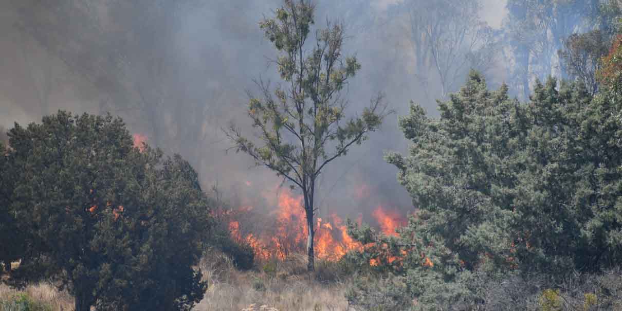Se agrava situación de incendios en Puebla; Libres y Tlachichuca, con fuego fuera de control