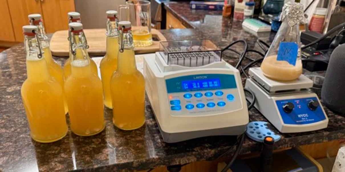 ¿Una cerveza que funciona como vacuna? El experimento científico que genera esperanza y controversia