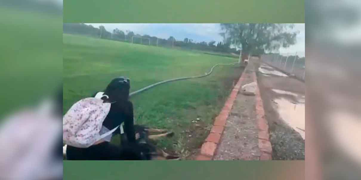 VIDEO. Hombre mata a tiros a dos perros en San Luis Potosí mientras una adolescente los paseaba