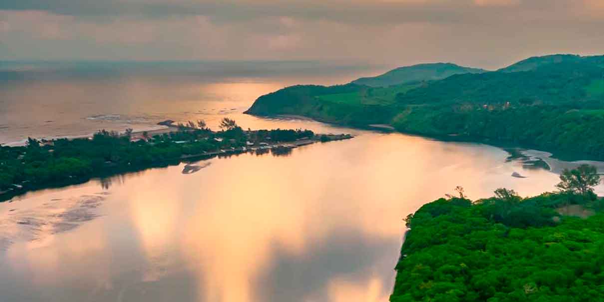 Manglares de Sontecomapan: el espectáculo natural que convierte a Veracruz en un destino único