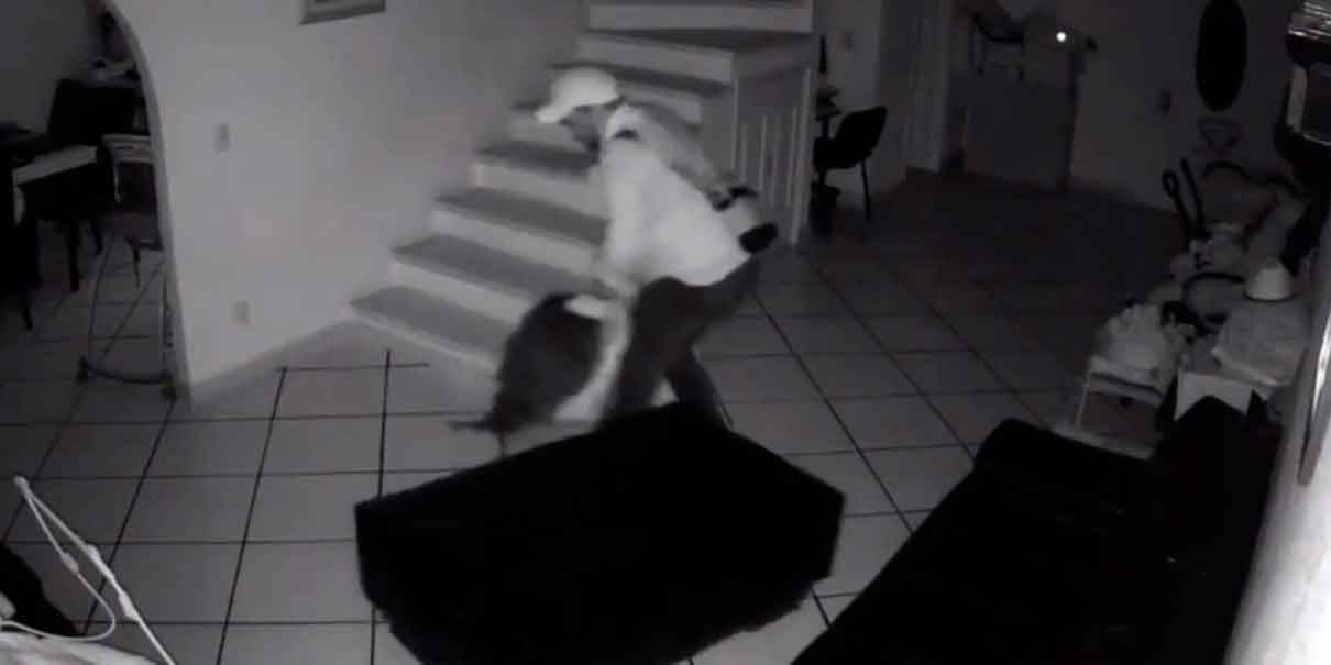 Mujer denuncia violencia familiar en Morelos; VIDEO muestra brutal refriega 