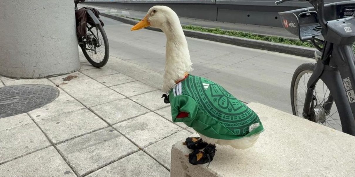 Merlín, el ‘Pato Mundialista’ que conquistó la Copa del Mundo 2026