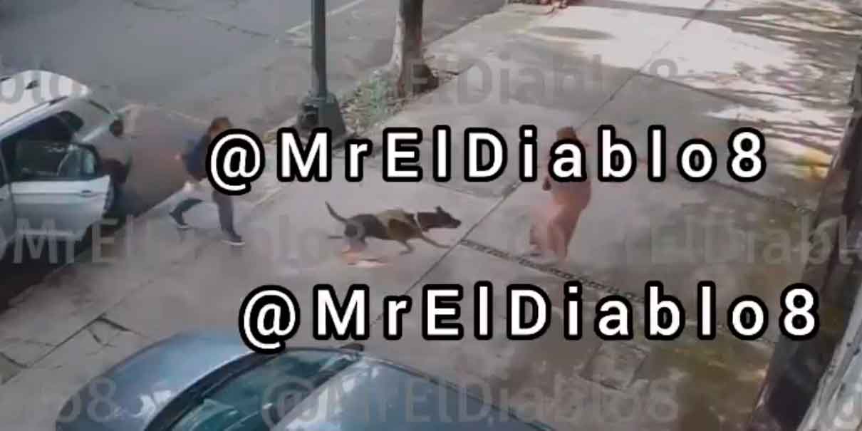 Perro ataca a mujer en CDMX y dueños la abandonan tras culparla
