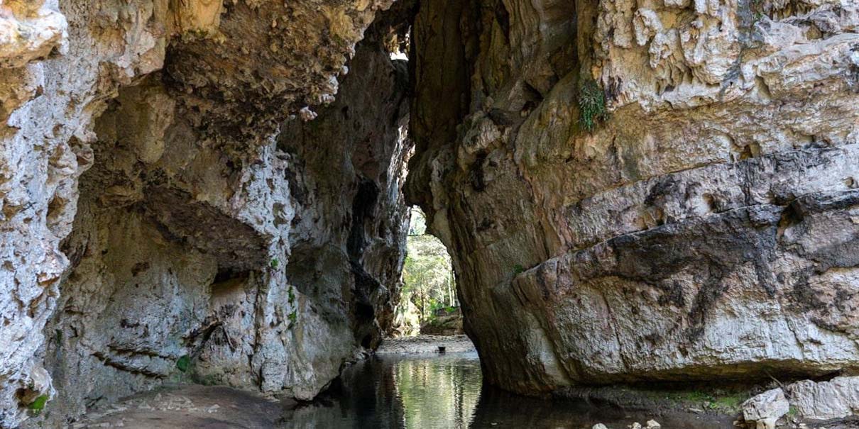 Cascadas El Arcotete, Chiapas: el arco de piedra natural que esconde cuevas, río subterráneo y un bosque de ensueño