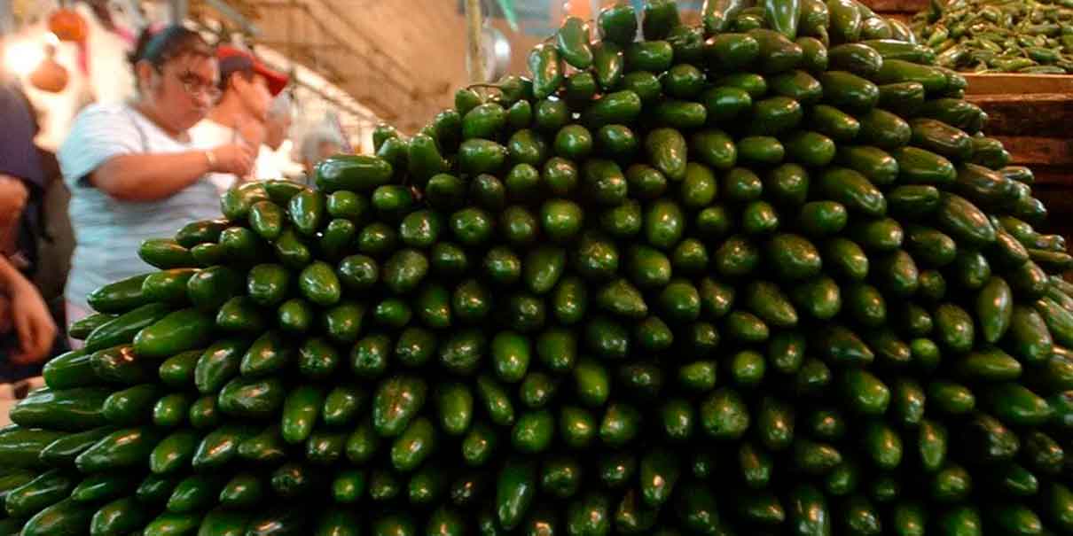 CDC alerta por brote de salmonela en jalapeños de México; hay 345 casos en EU