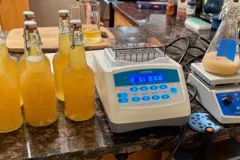¿Una cerveza que funciona como vacuna? El experimento científico que genera esperanza y controversia