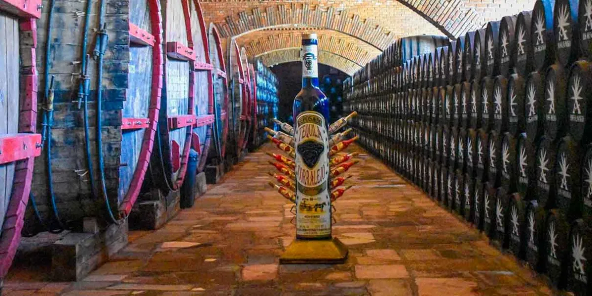 Casa Corralejo: el tequila de Guanajuato que puedes recorrer por dentro