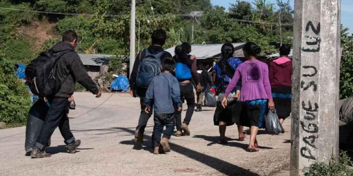 Amenazas del C J N G obligan a pobladores de Los Naranjos, en Tequila, Jalisco a HUIR