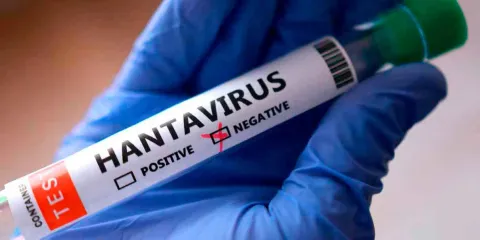 Qué es el hantavirus y por qué preocupa a la OMS