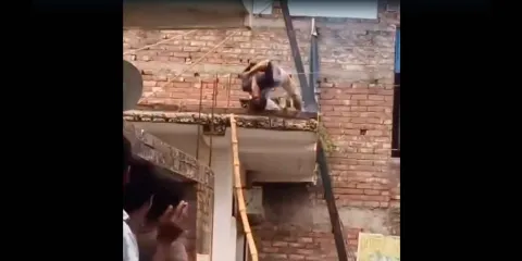 Albañil muere electrocutado al caer sobre cables de alta tensión en Narkel Bagan