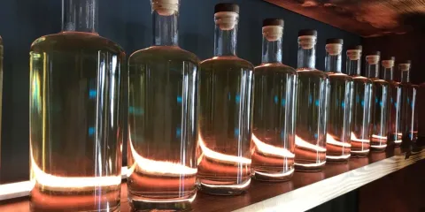 Botellas falsas, QR que no sirven y olor extraño: así era el tequila que dejó 5 muertos en Guanajuato