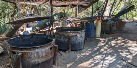 Cárteles mexicanos convierten la metanfetamina en un fenómeno global, alerta la ONU