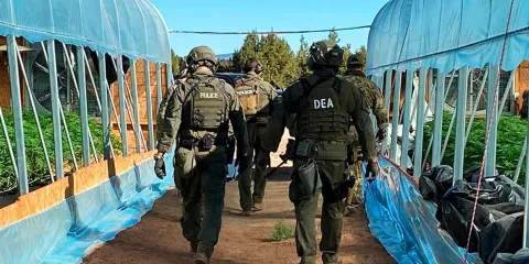 DEA permitió el paso de millones de pastillas de fentanilo: denuncian agentes