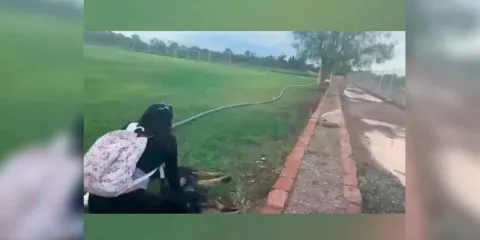 VIDEO. Hombre mata a tiros a dos perros en San Luis Potosí mientras una adolescente los paseaba