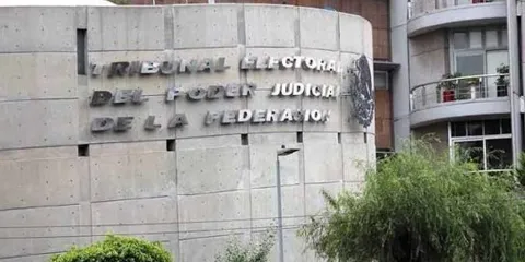 Autos eléctricos, obras de arte y gym de lujo: así es el inventario millonario del TEPJF