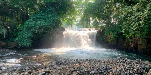 Cascadas Gemelas de Los Tuxtlas: historia, origen y las mejores actividades