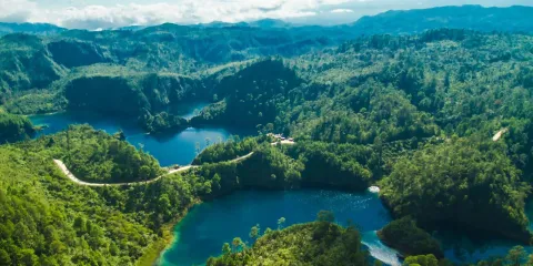 Centro Ecoturístico Las Guacamayas, Chiapas: el paraíso de la guacamaya roja en la Selva Lacandona