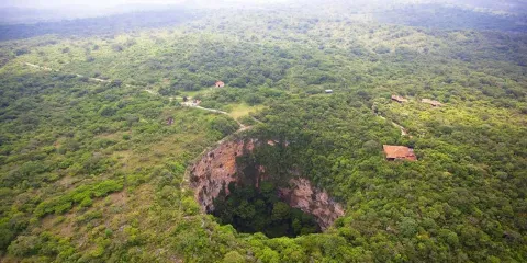Conoce la Cueva de las Cotorras, la maravilla natural de Chiapas con vuelo de miles de aves y pinturas rupestres