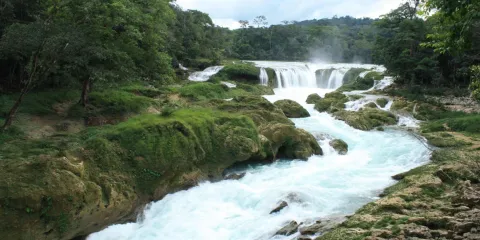 Entre nubes, selva y agua turquesa: descubre las impresionantes Cascadas Las Nubes en Chiapas