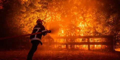 Incendio en Francia se mantiene fuera de control: 240 viviendas destruidas, 220 mil evacuados