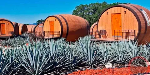México defenderá al tequila: impondrá aranceles a países que restrinjan a la bebida mexicana