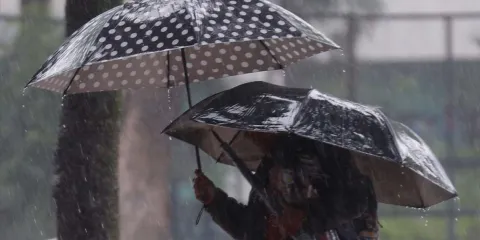 ¿En qué estados lloverá más? Frente frío y onda tropical 23 activan alerta este sábado