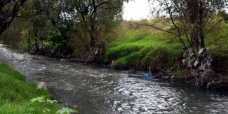 Sheinbaum anuncia 20 mil mdp para sanear ríos contaminados