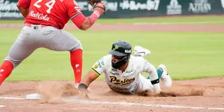 Pericos aplasta 8-1 a Diablos y queda a un triunfo de eliminarlos