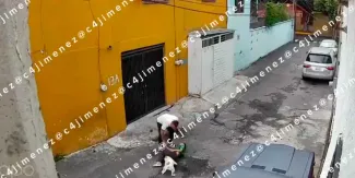 VIDEO. Perro ataca a niño en Iztapalapa y vecinos lo rescatan; menor ya fue dado de alta