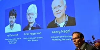 Nobel de Medicina premia técnica que permite encender y apagar neuronas con luz